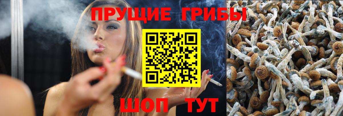 Красноперекопск  Галлюциногенные грибы GOLDEN TEACHER  Вход с VPN 